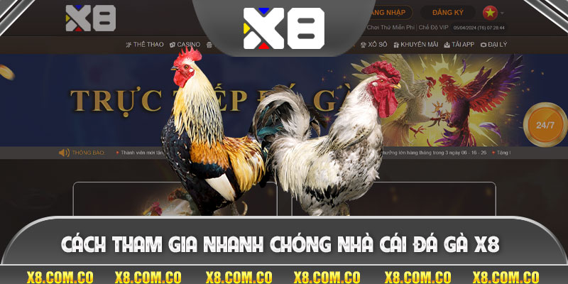 Cách tham gia nhanh chóng nhà cái đá gà x8