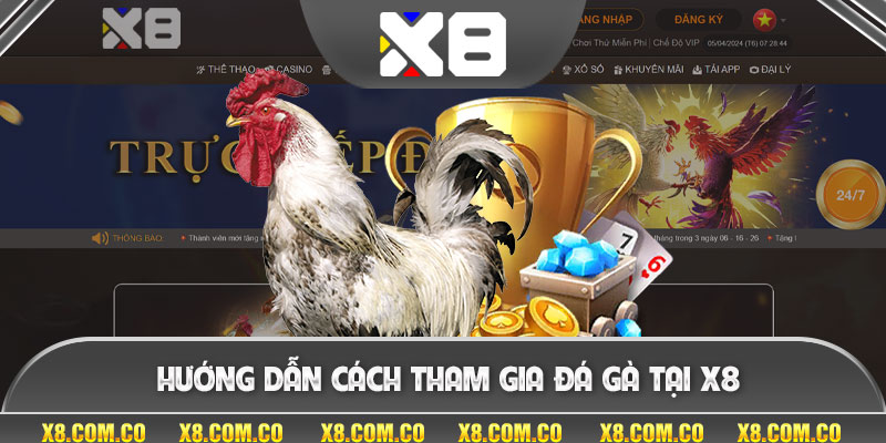 Hướng dẫn cách tham gia đá gà tại X8