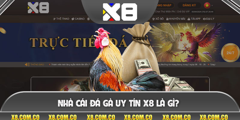 Nhà cái đá gà uy tín x8 là gì?