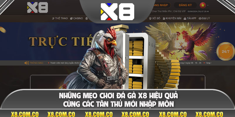 Những mẹo chơi đá gà x8 hiệu quả cùng các tân thủ mới nhập môn