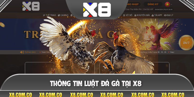 Thông tin luật đá gà tại x8